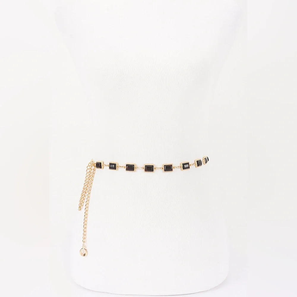 Vintage Acrylic Metal Chain Link Statement Belt